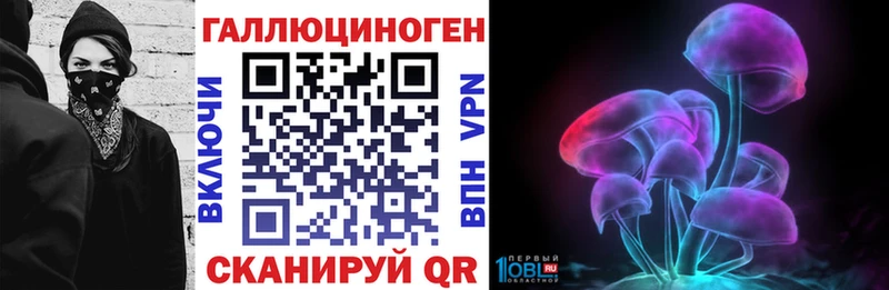 Галлюциногенные грибы MAGIC MUSHROOMS  закладка  Красноармейск 